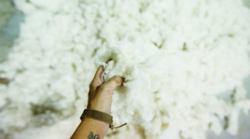 8 reasons why you should switch to organic cotton products