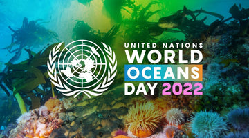 United Nations World Oceans Day 2022