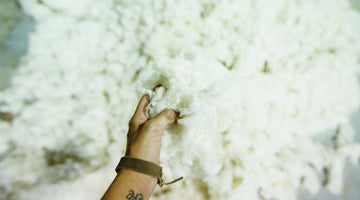3 Game‑Changing Shifts in Sustainable Fashion Right Now