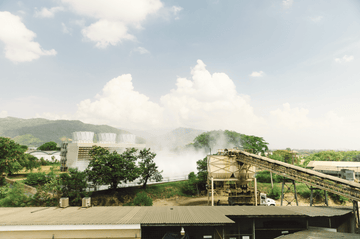 5 Sneaky Ways Companies Greenwash (and How Allmade Flips the Script)
