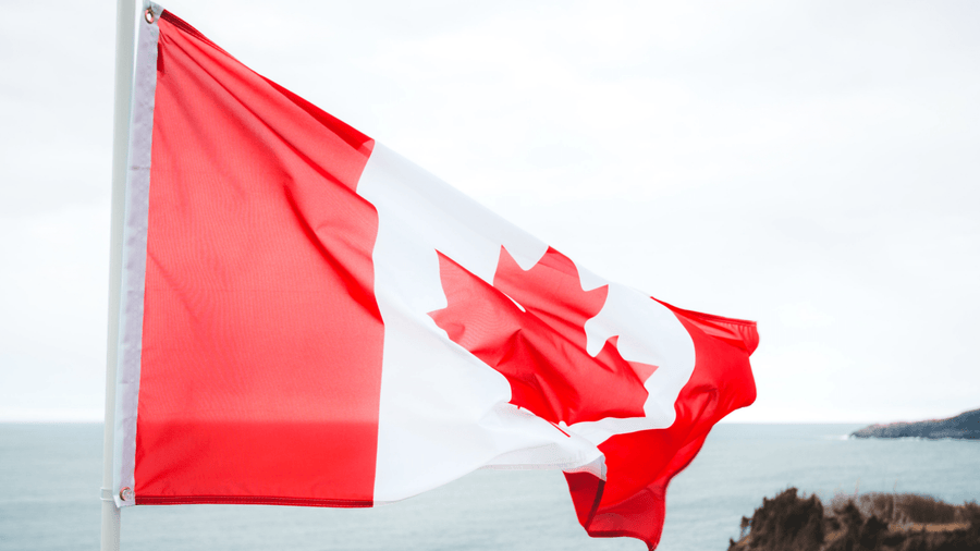 The Easiest Way to Get Allmade as a Canadian