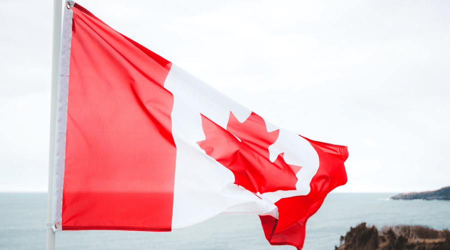 The Easiest Way to Get Allmade as a Canadian